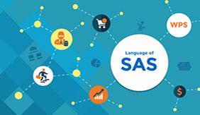 Everything You Need to Know About SAS Training in Mumbai