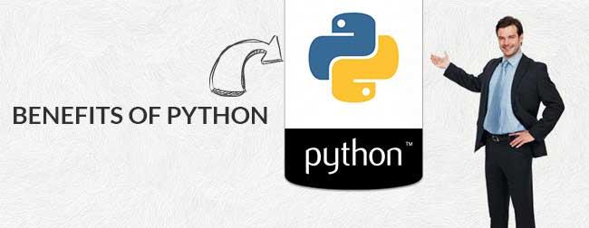 Five Benefits of Learning Python
